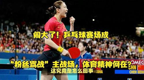 日韩乒乓骂战视频大全集,激情碰撞背后的恩怨情仇