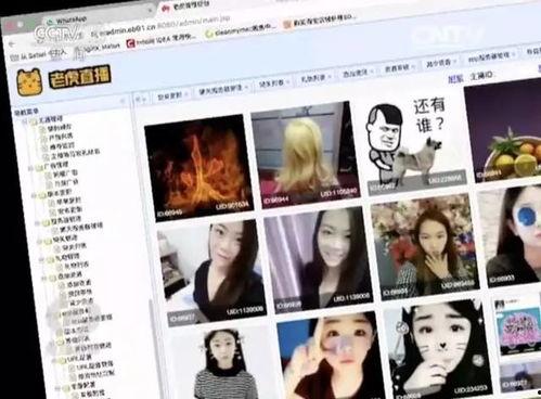 成人小视频直播视频,激情四溢的虚拟世界探秘